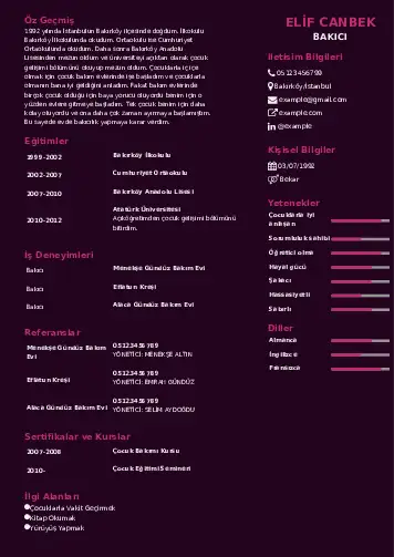 Bakıcı Cv Örnekleri cv indir